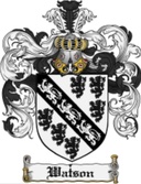 Competidor