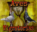 Competidor